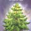 La Robe De Noël
