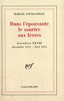 Journaliers. Vol. 28. Dans L'épouvante, Le Sourire Aux Lèvres : Décembre 1973-noël 1974