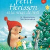 Petit Hérisson Et La Neige De Noël