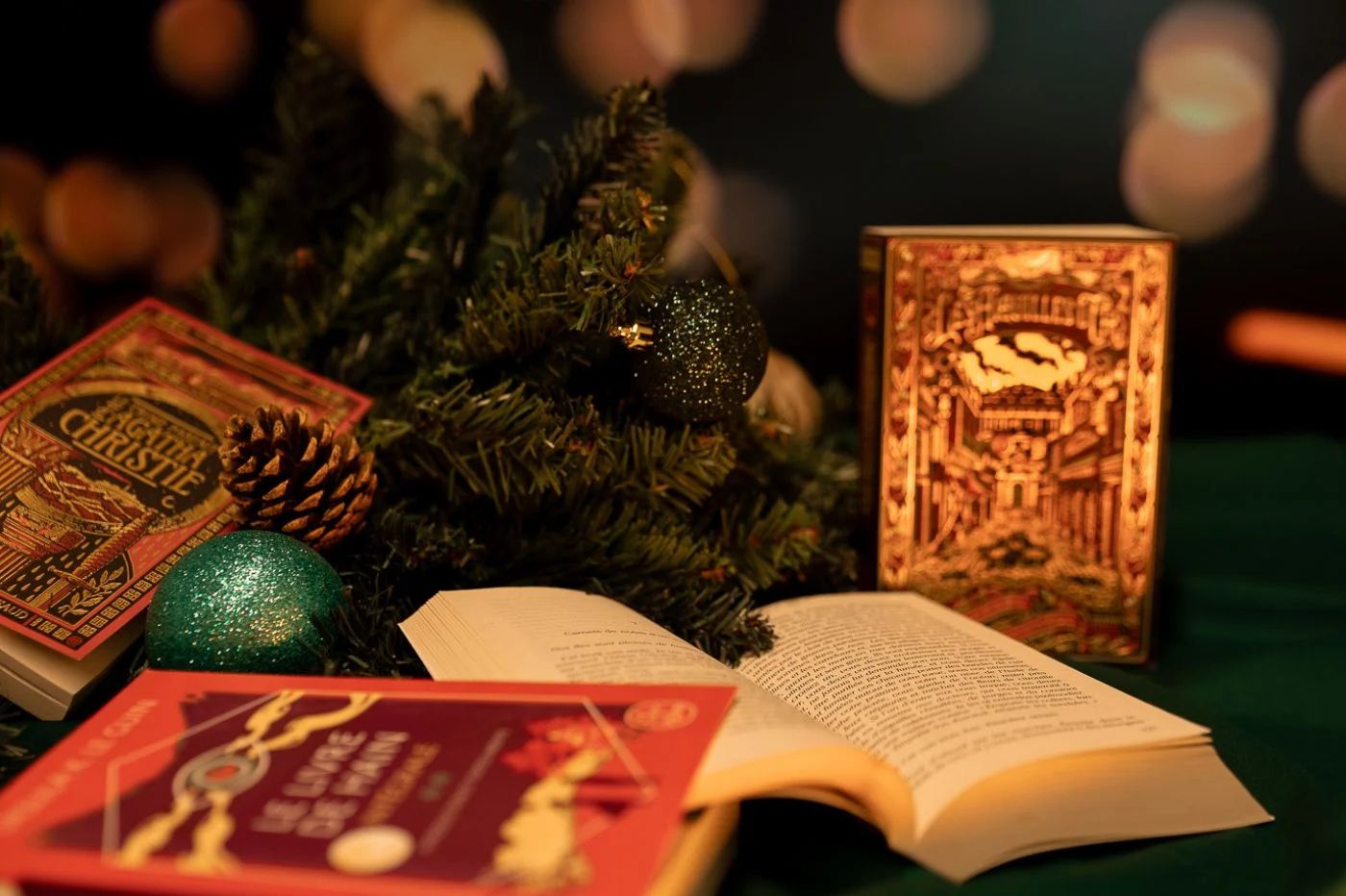 Romans Magasin -Romans Magasin idees cadeaux romans noel 2023